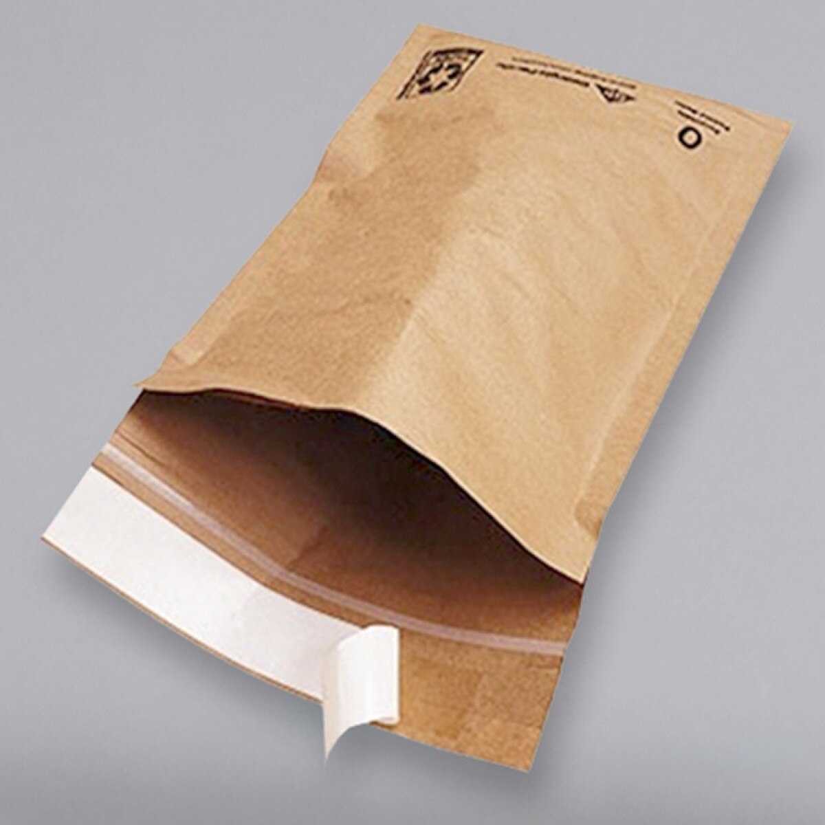 #6 curbside paper padded mailers ar